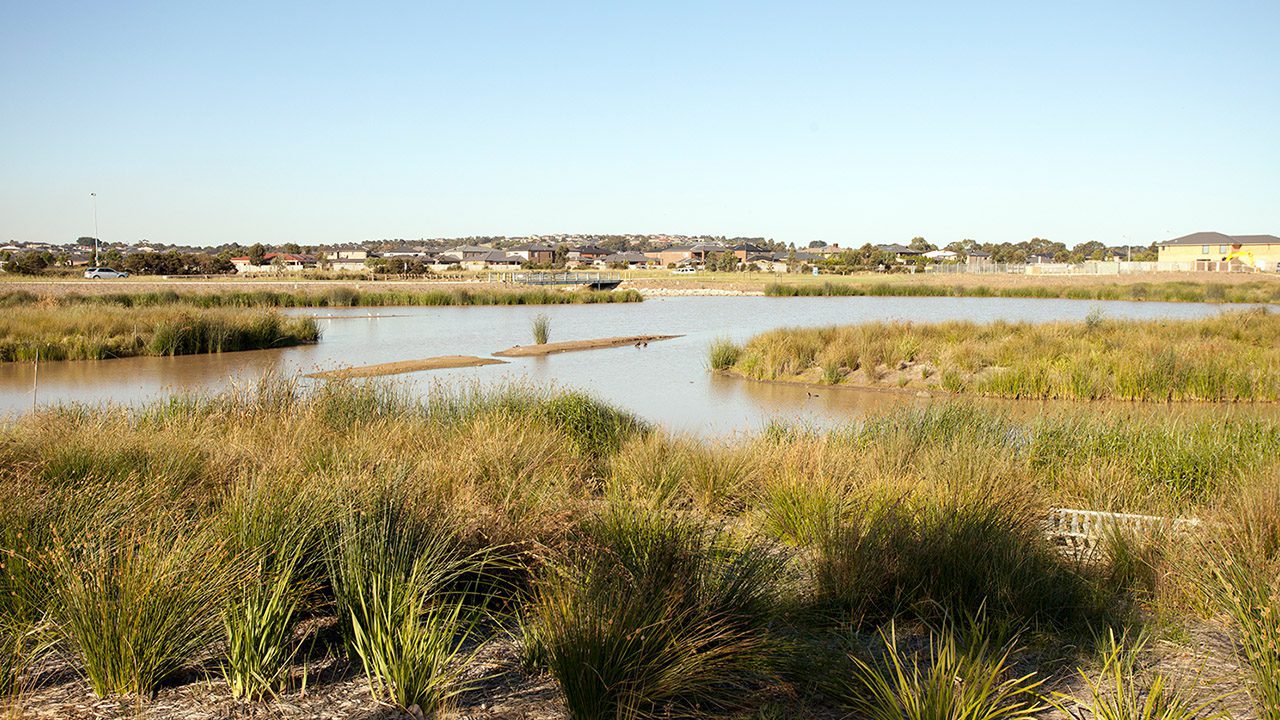 Svg+xml;charset=utf — tract Berwick waters - tract
