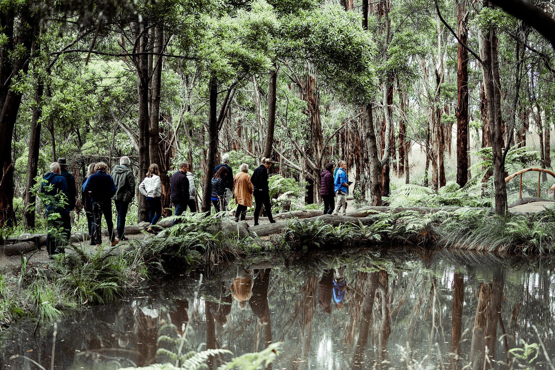 Svg+xml;charset=utf — tract Wildlife wonders - tract