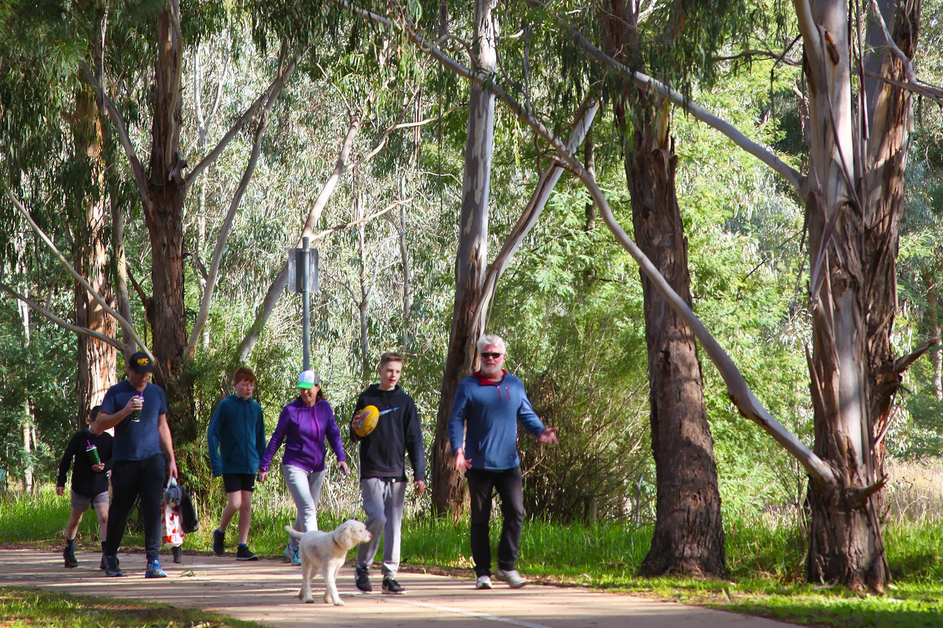 Banyule Walking Strategy - Tract