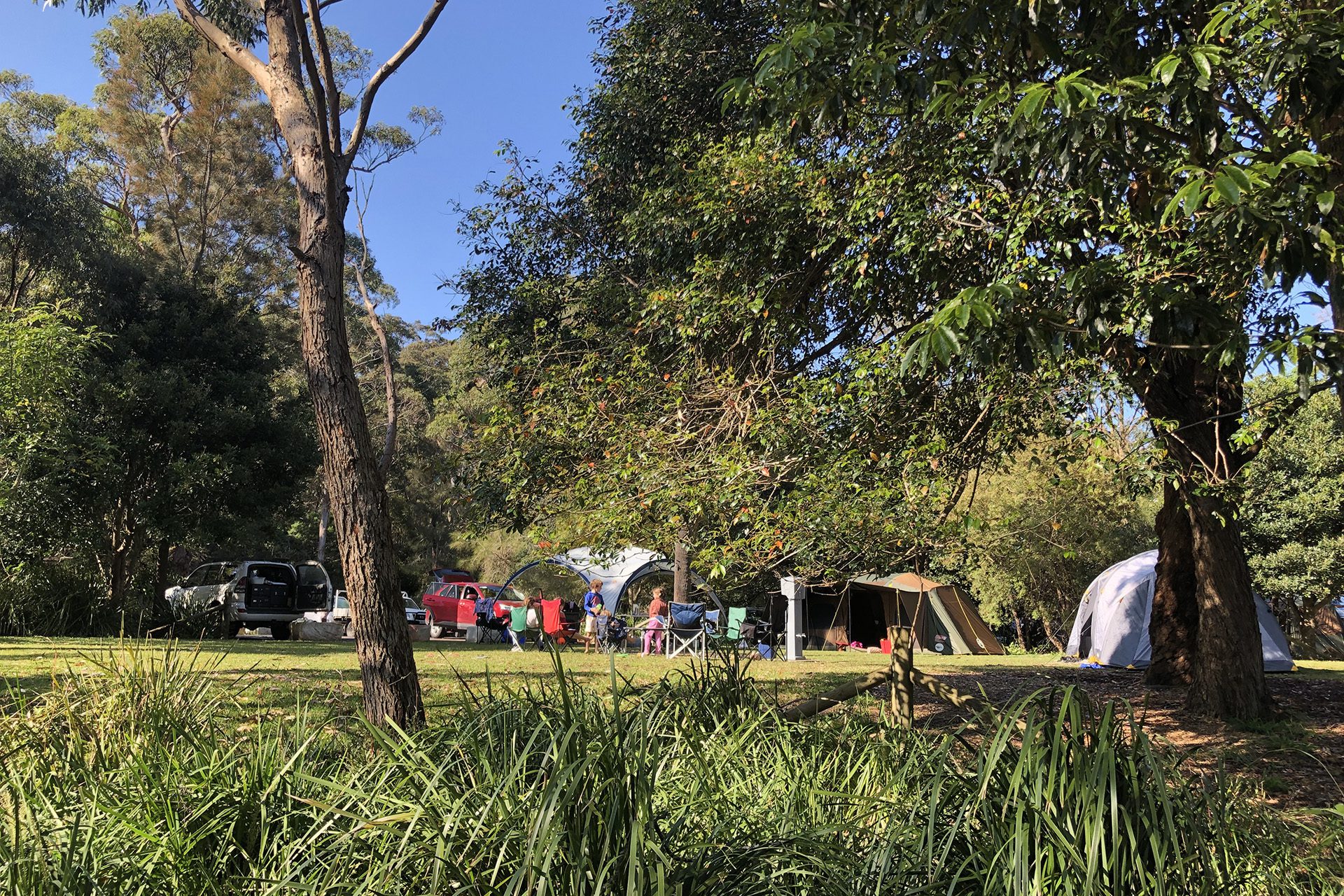 Svg+xml;charset=utf — tract Bonnie vale campground