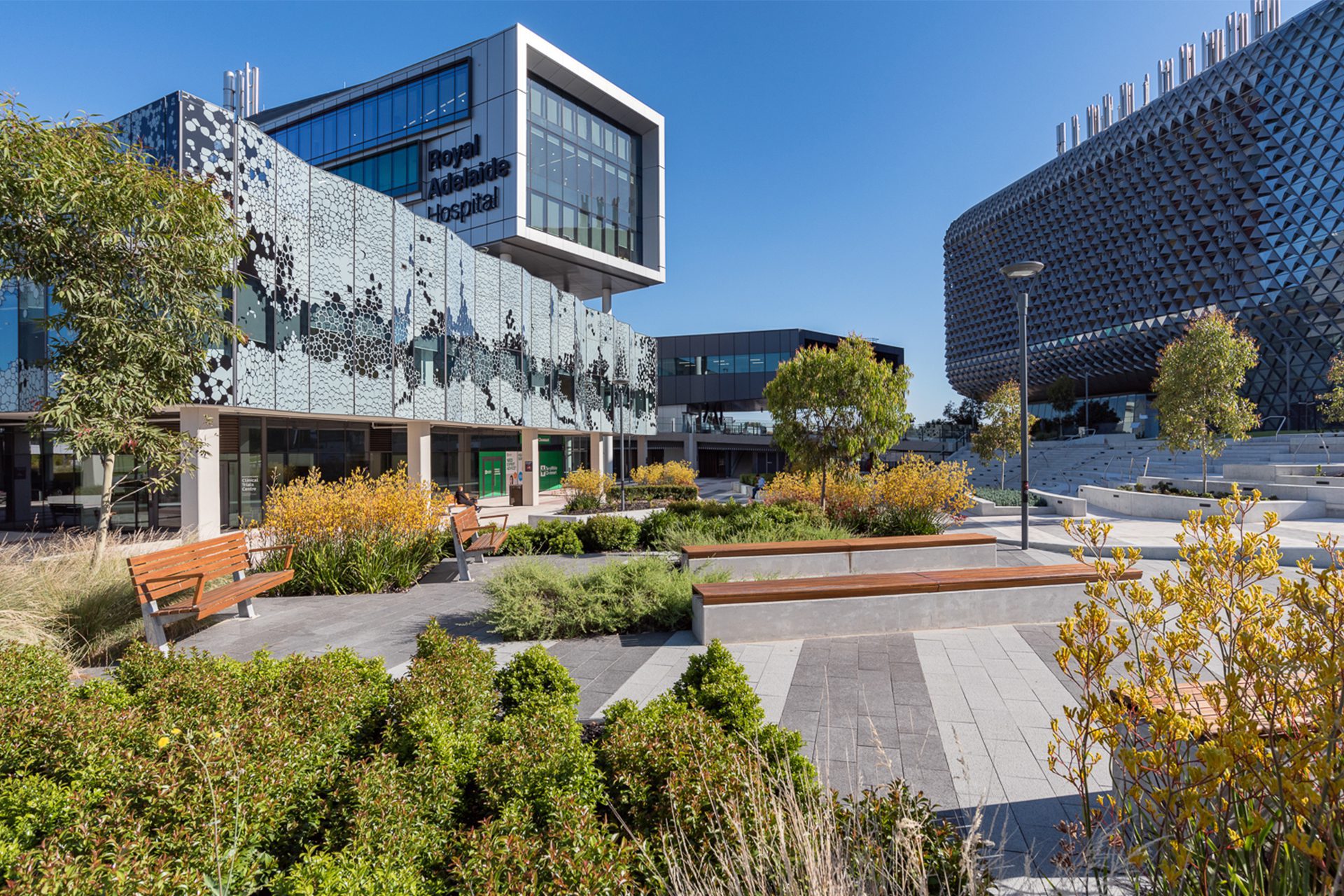 Svg+xml;charset=utf — tract Royal adelaide hospital - tract