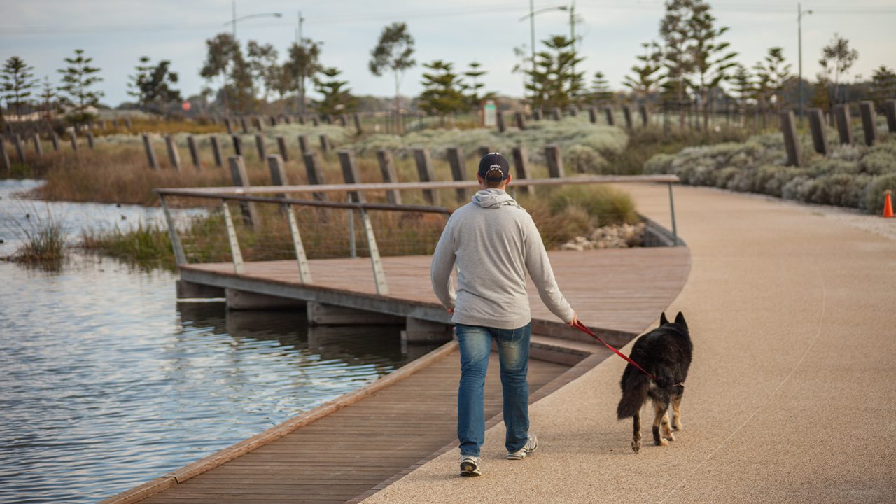 Svg+xml;charset=utf — tract Man walking a dog on a path around the wetlands