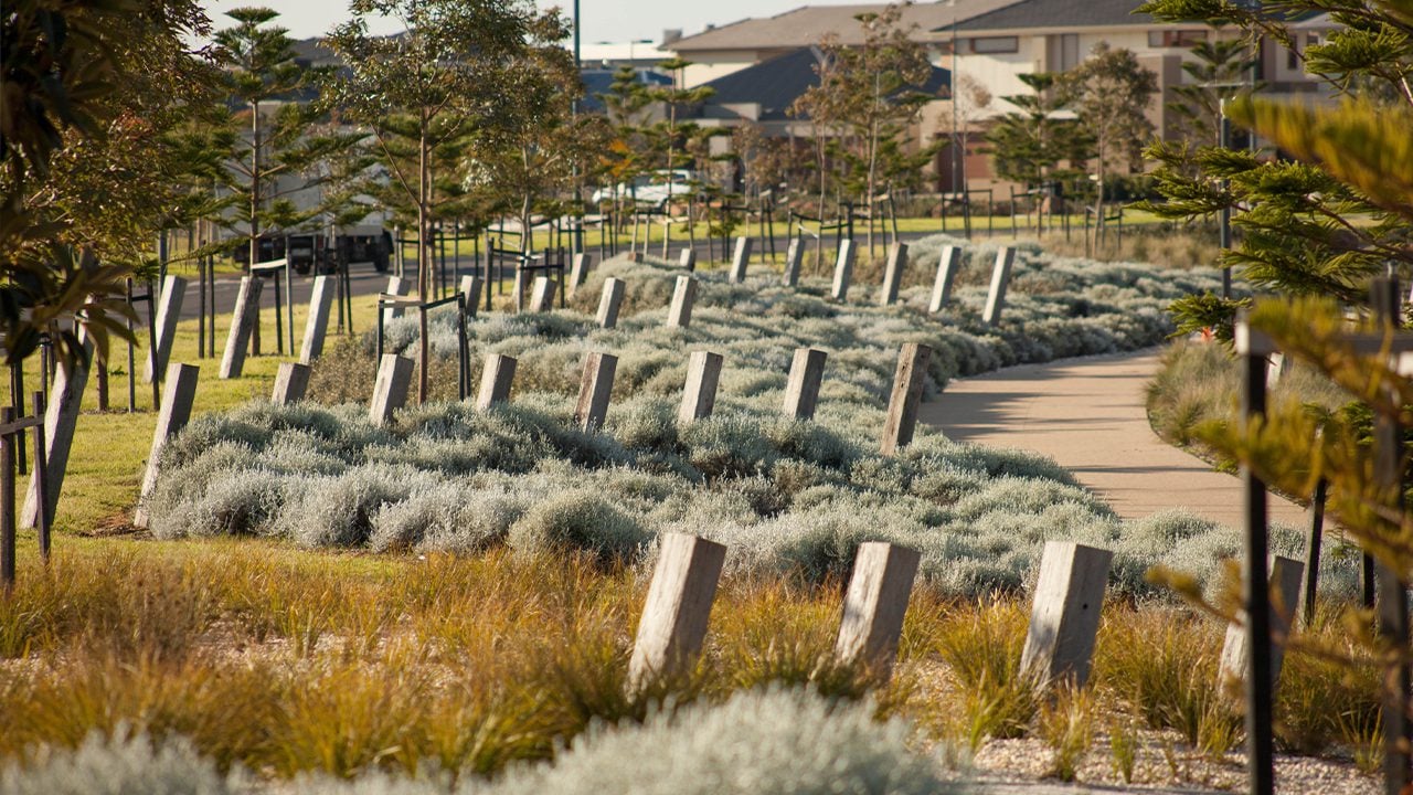 Svg+xml;charset=utf — tract Rows of wooden bollards surrounded by trees and native plants