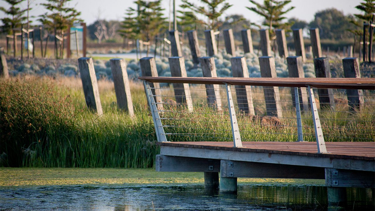 Svg+xml;charset=utf — tract Viewing platform over the water of saltwater coast wetlands