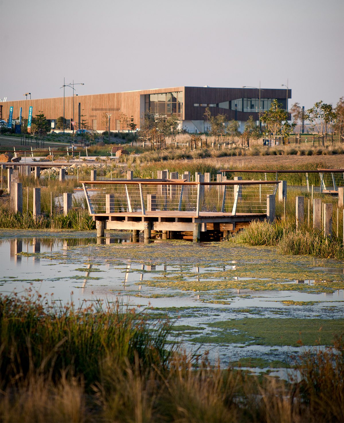 Svg+xml;charset=utf — tract Wooden viewing platform over water of saltwater coast wetlands