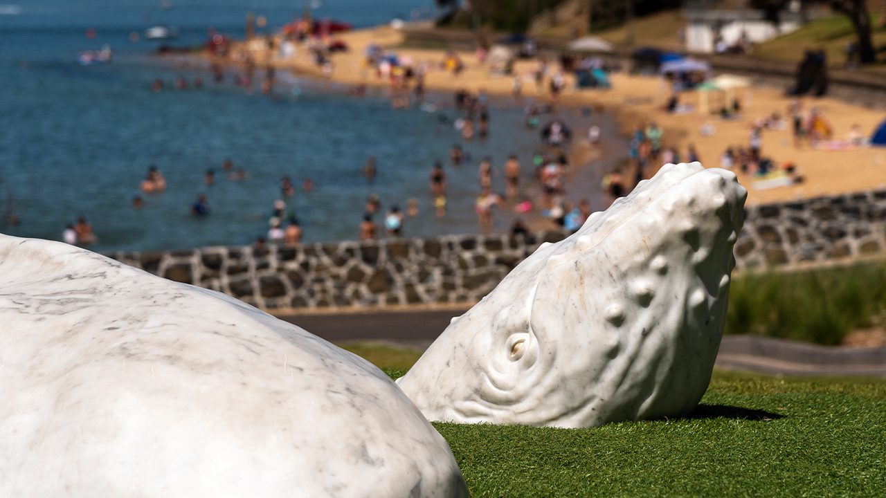 Svg+xml;charset=utf — tract Cowes foreshore