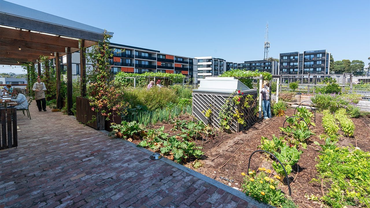 Svg+xml;charset=utf — tract Burwood brickworks