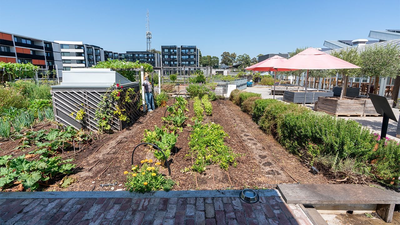 Svg+xml;charset=utf — tract Burwood brickworks