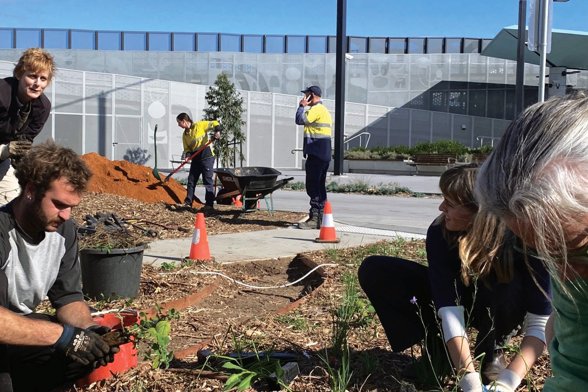 Geelong biodiversity micro-project: from nature strip to pollinator paradise