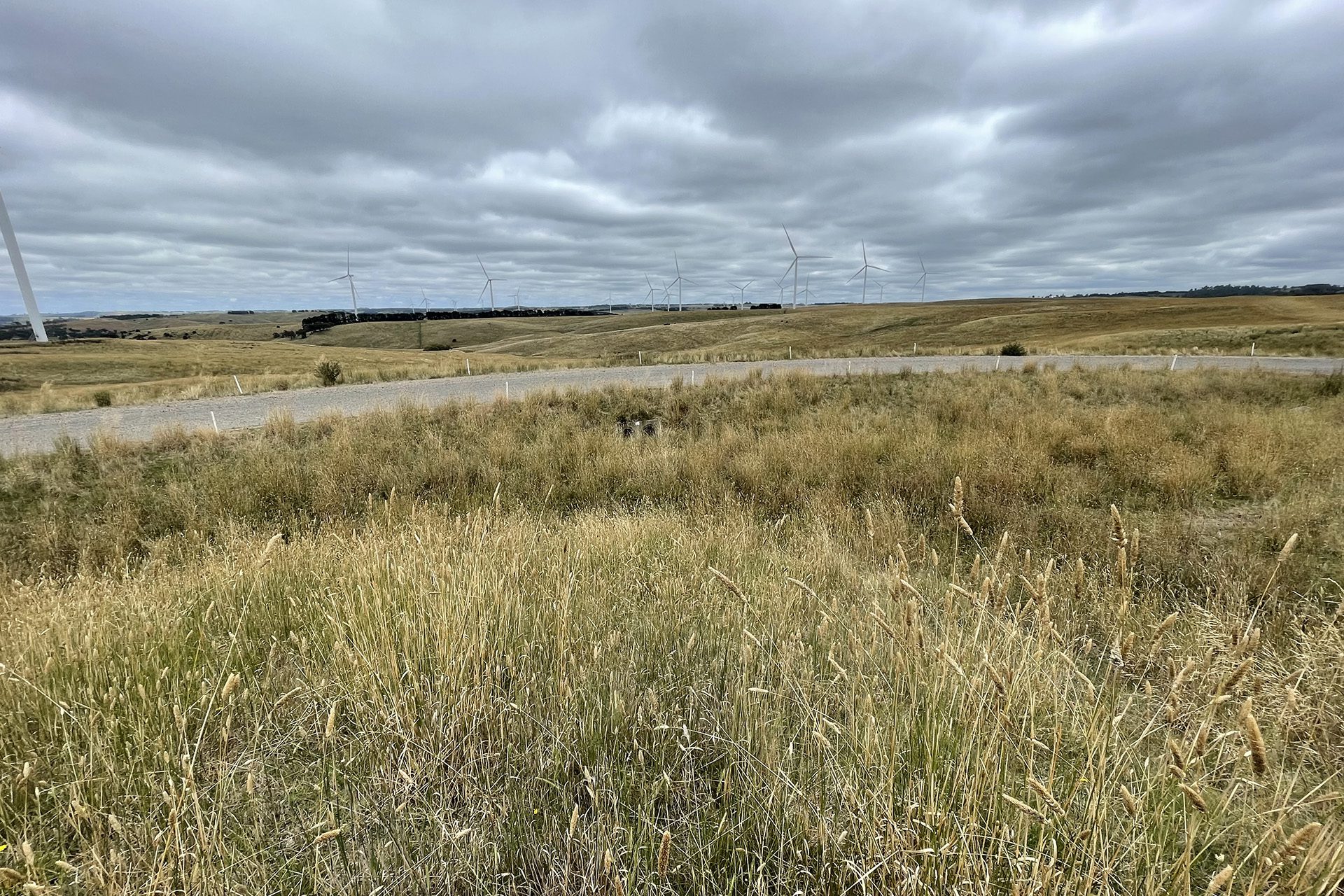 Svg+xml;charset=utf — tract Svg+xml;charset=utf — tract